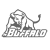 University of Buffalo